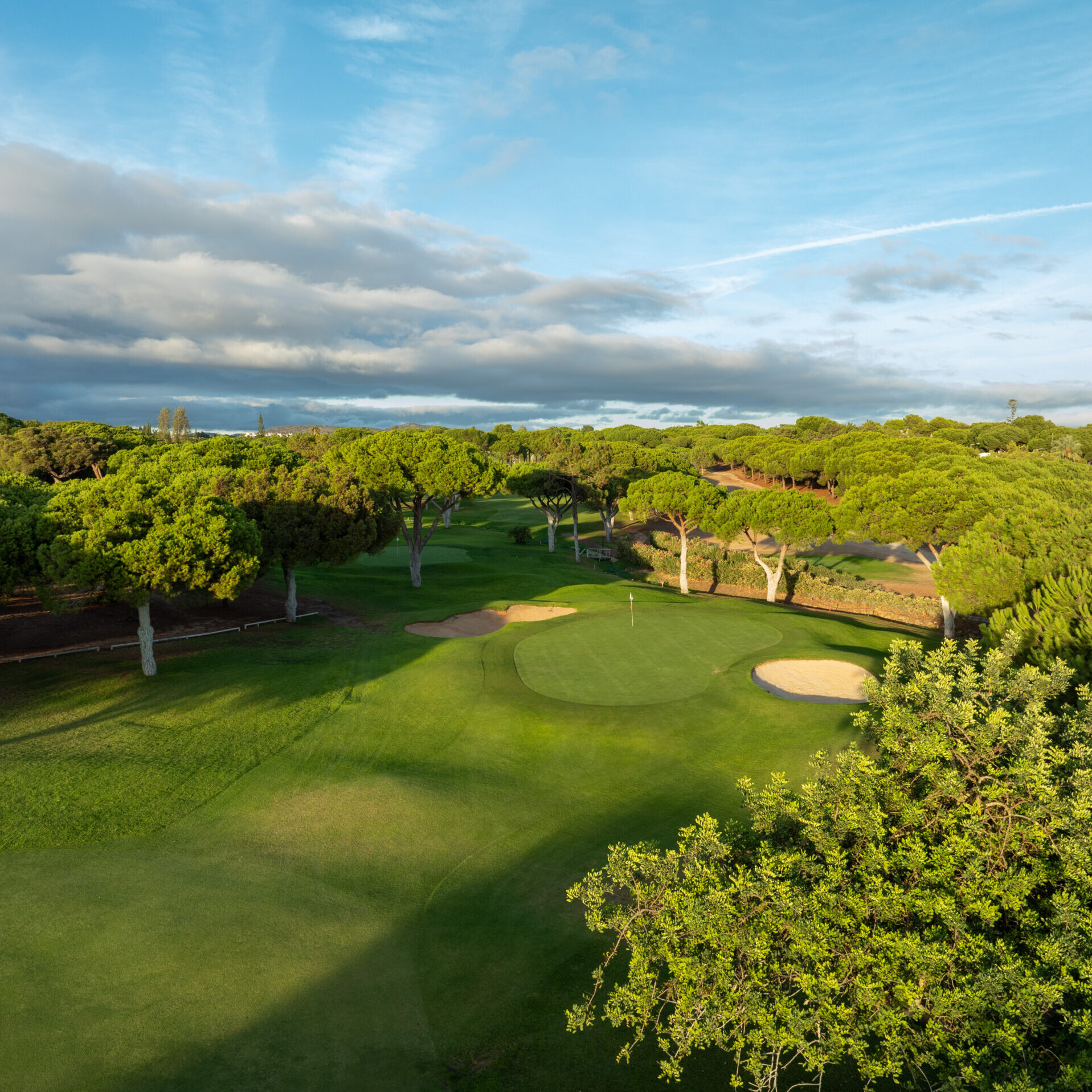 Pinhal-DJI_0484